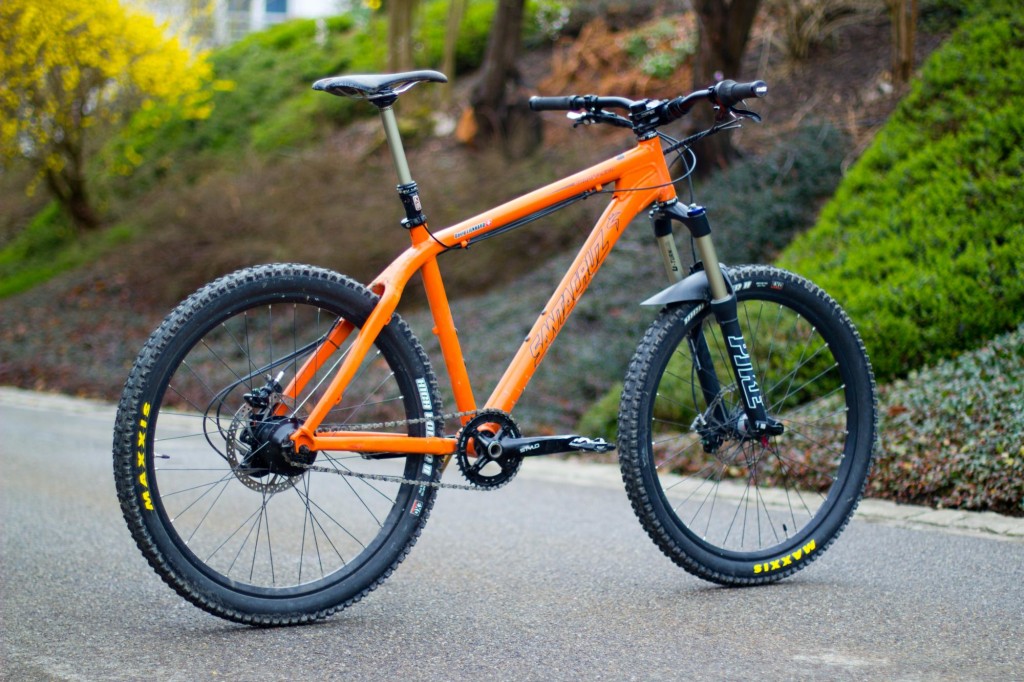 Santa Cruz Chameleon